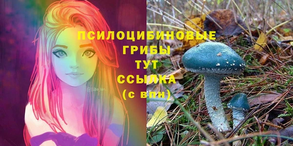 МДПВ Арсеньев