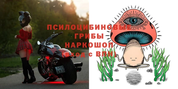 МДПВ Арсеньев