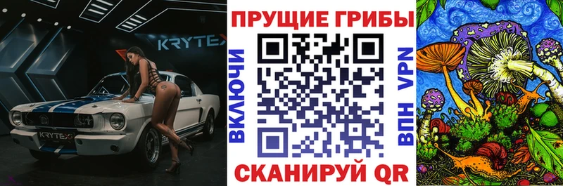 Галлюциногенные грибы GOLDEN TEACHER  Купить  Высоковск 